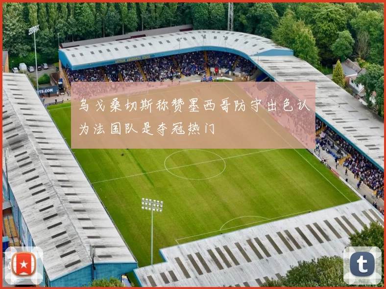 乌戈桑切斯称赞墨西哥防守出色认为法国队是夺冠热门