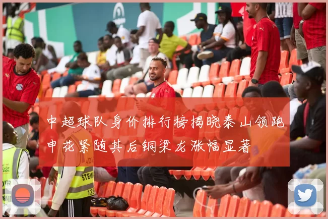 中超球队身价排行榜揭晓泰山领跑申花紧随其后铜梁龙涨幅显著